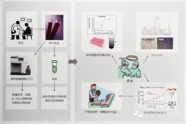 95年23岁命运解析：透视个体的成长与挑战