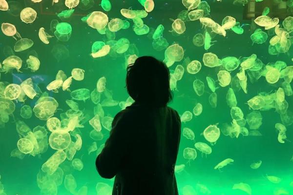 海中命：寻找适合水下生物的职业道路