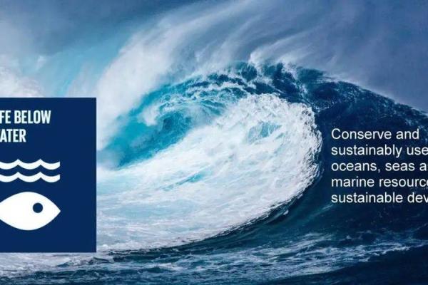 海中命：寻找适合水下生物的职业道路