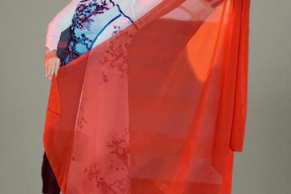 追寻最佳晚年：如何让生活更加幸福美满