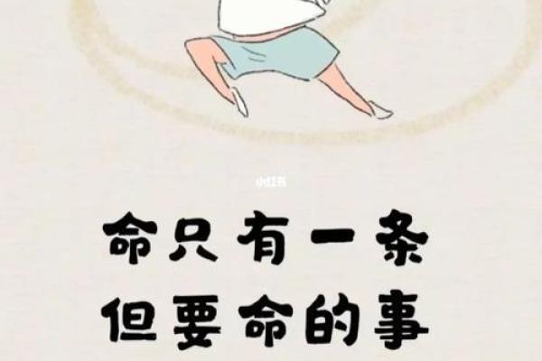 用一条命换一条命:生命的交替与价值的思考 用一条命换一条命:生命的交替与价值的思考