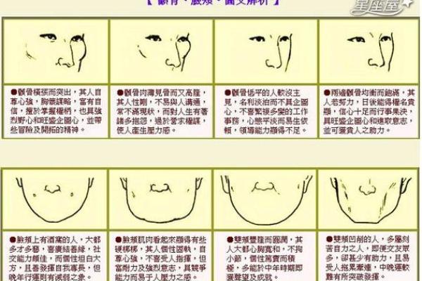 命理学入门推荐：畅游八字、风水与面相的奥秘之书