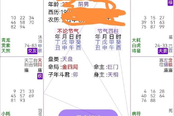 紫薇命格与炒股投资:你的财运如何从星象中解读 紫薇命格与炒股投资:你的财运如何从星象中解读