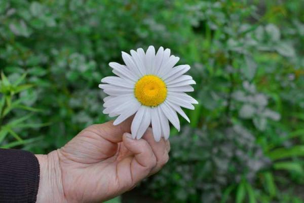 命理水多的女性适合佩戴哪些饰品？达到和谐与美丽的平衡！