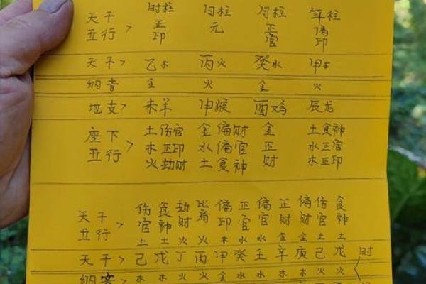 94年出生的人命理解析：五行属性与命运的奥秘