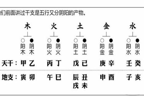 2025年五行命理解析：如何助力你的人生道路？