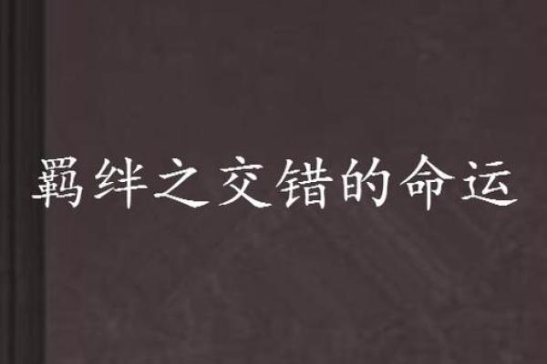 命运的羁绊:我与我哥的生活对比 命运的羁绊:我与我哥的生活对比