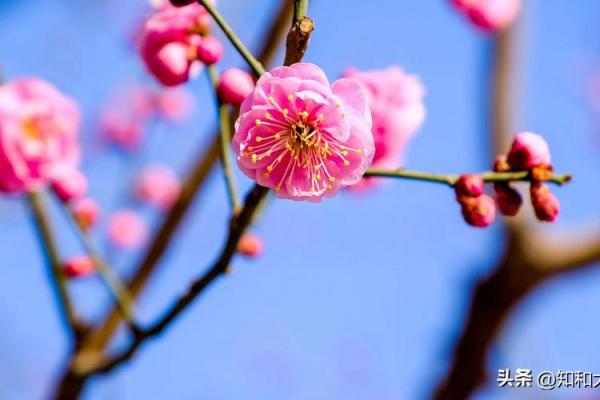 通过生命数字揭示你的人生寿数与命运真谛 通过生命数字揭示你的人生寿数与命运真谛