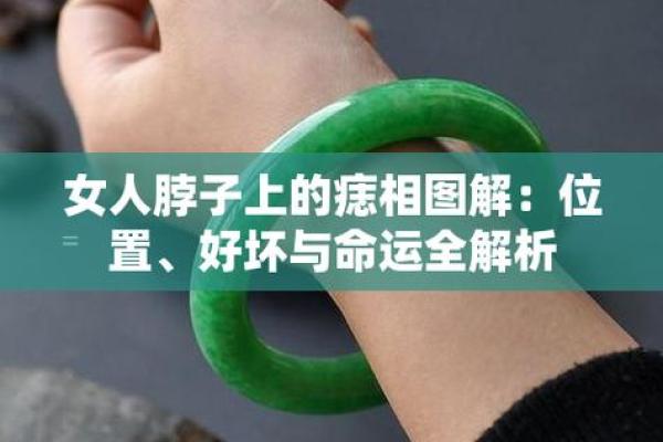 1977年巳时出生的命运解析：星辰与命理的交汇之美