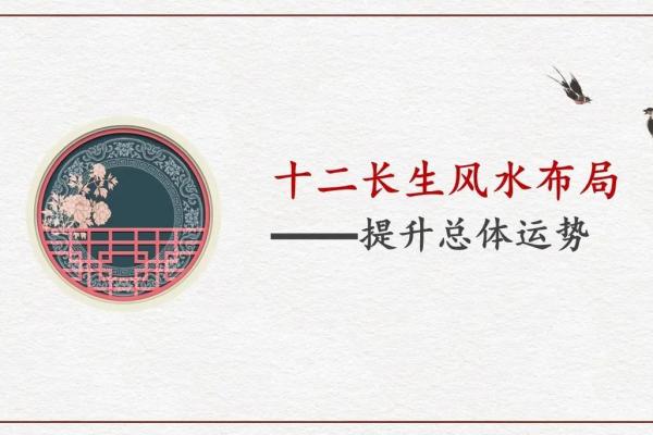 正财命格女子的命理密码与人生智慧 正财命格女子的命理密码与人生智慧