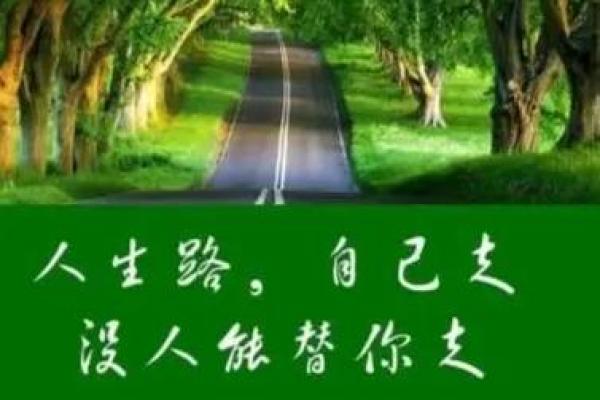 30岁属什么命?揭秘命理与人生的智慧之旅 30岁属什么命?揭秘命理与人生的智慧之旅