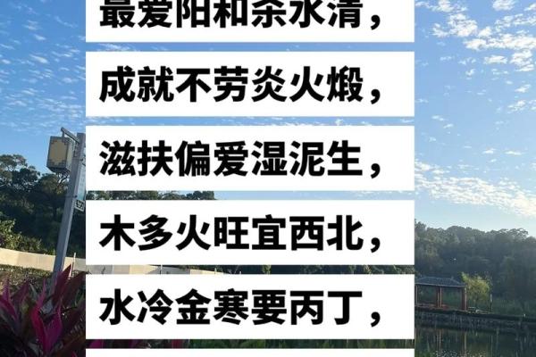 男己士命与适合配对的命理探讨 男己士命与适合配对的命理探讨