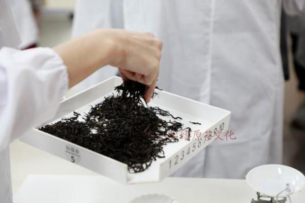 探索数字命理的奥秘:20010101背后的命运解析 探索数字命理的奥秘:20010101背后的命运解析