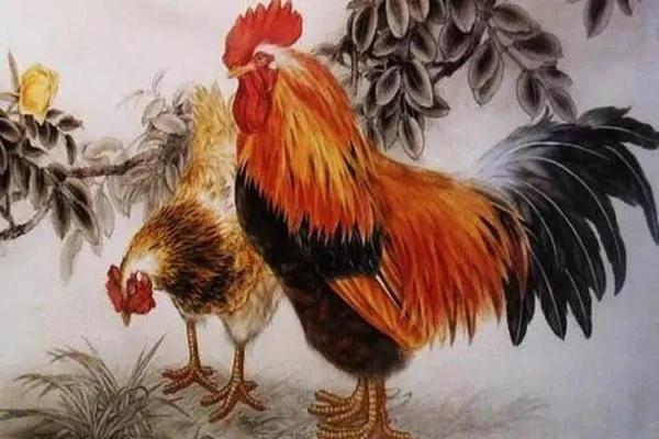 1933年属鸡女的命运解析:智慧与坚韧并存 1933年属鸡女的命运解析:智慧与坚韧并存