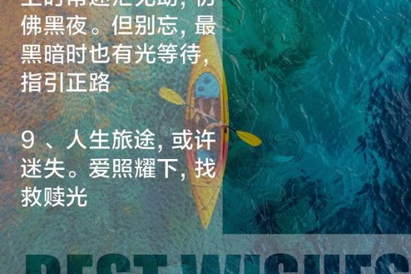 1962年出生的人:虎年命运与人生的精彩篇章 1962年出生的人:虎年命运与人生的精彩篇章