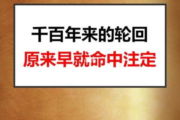20127命理解析：探索你命中注定的秘密与人生路径