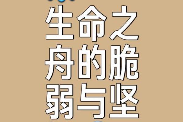 乘风破浪，探索人生的无限可能