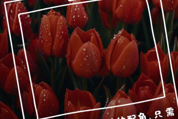 什么命什么高什么，让你的人生更精彩！