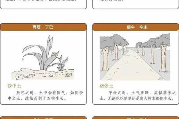 76年虎年出生的朋友,木命与水命的命理解析与人生智慧 76年虎年出生的朋友,木命与水命的命理解析与人生智慧