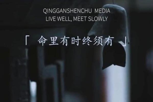 命里有时终须有，命里无时莫强求的智慧