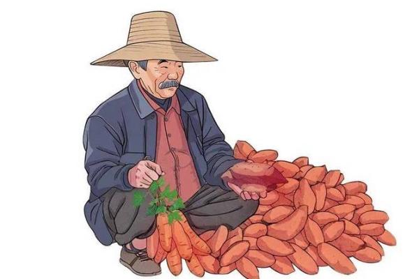 沙土命：命理学中温暖与坚韧的象征，解密其背后的神秘力量