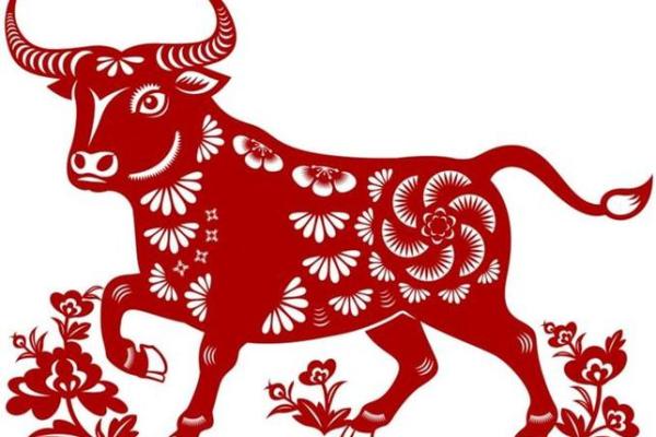 属牛命理解析：探索属牛之人命运的深意与智慧