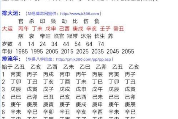 2024年命格解析：哪些八字在新的一年里会有好运？