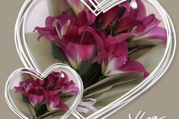 19901121出生的命运探索:揭示你的内在潜能与未来之路 19901121出生的命运探索:揭示你的内在潜能与未来之路