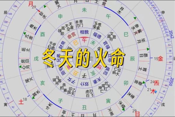 从大林木命看五行命理：与火命、土命深度对比分析