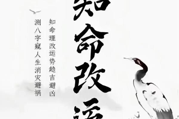 2012年命格解析:如何掌握人生方向与运势提升的秘诀 2012年命格解析:如何掌握人生方向与运势提升的秘诀