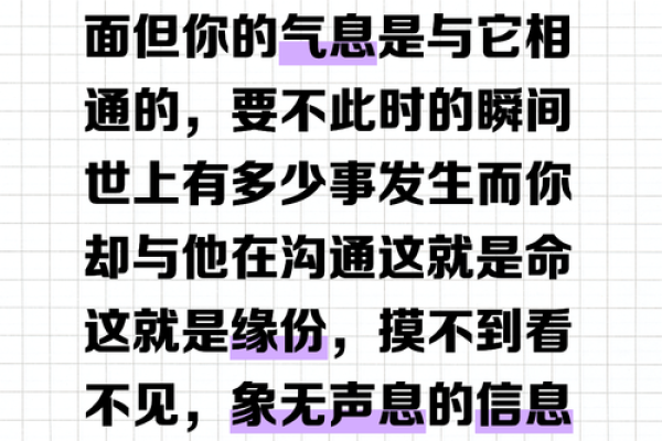 未命近在之命,生活的回答在何处? 未命近在之命,生活的回答在何处?