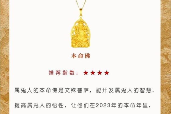 探索2023年属兔人的命运与运势：成就与挑战并存的一年