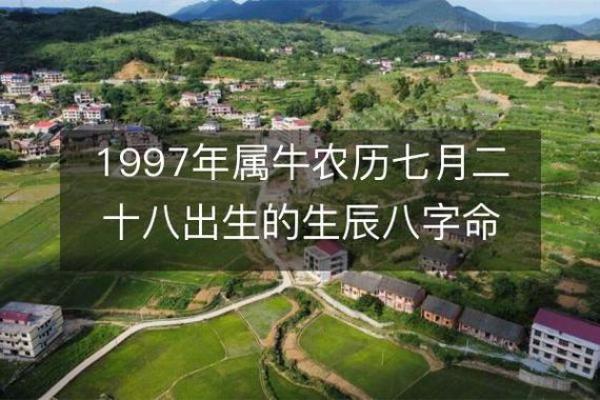 探索1997年9月19日出生者的命运与性格特征