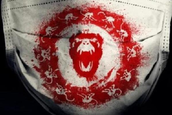 探寻命运之谜：短命者的秘密与启示