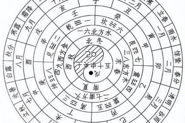 乌龟命理揭秘:天才命的真相与你我息息相关! 乌龟命理揭秘:天才命的真相与你我息息相关!