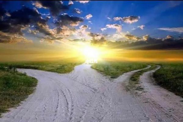 探索1985年11月25日出生的命理特征与人生轨迹