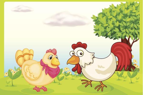 2005年属鸡:揭示你命运的小秘密与人生启示 2005年属鸡:揭示你命运的小秘密与人生启示