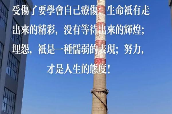 无论经历什么,都是命运的安排,活出精彩人生! 无论经历什么,都是命运的安排,活出精彩人生!