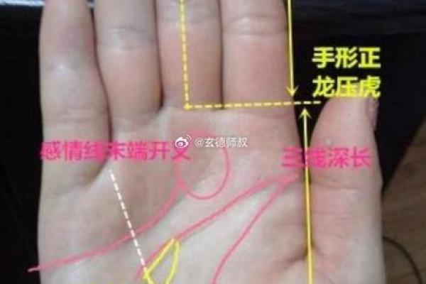 1990年出生的朋友:大龙命的智慧和运势解析 1990年出生的朋友:大龙命的智慧和运势解析