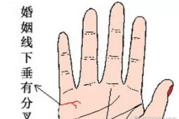 探索手相之谜:揭示你命运的秘密与人生轨迹 探索手相之谜:揭示你命运的秘密与人生轨迹