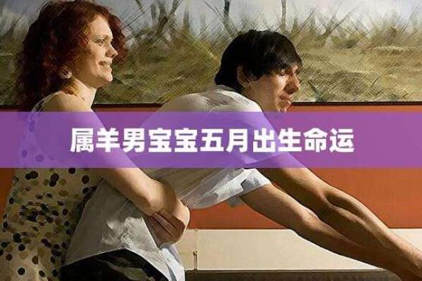 探索2005年出生羊的命运与性格特点 探索2005年出生羊的命运与性格特点