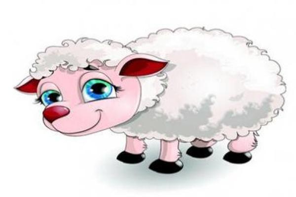 探索2005年出生羊的命运与性格特点 探索2005年出生羊的命运与性格特点