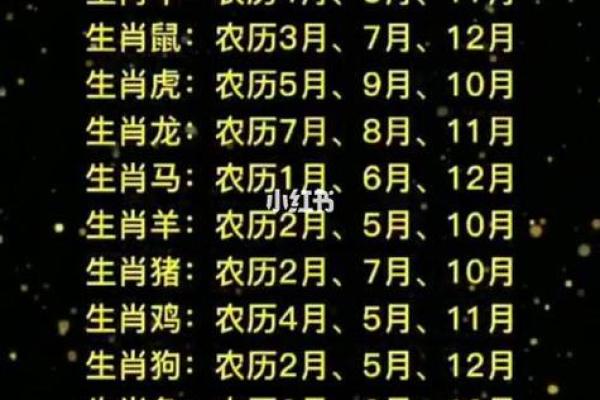 1996年属鼠的命与运势:揭秘鼠年人的生活智慧与未来展望 1996年属鼠的命与运势:揭秘鼠年人的生活智慧与未来展望