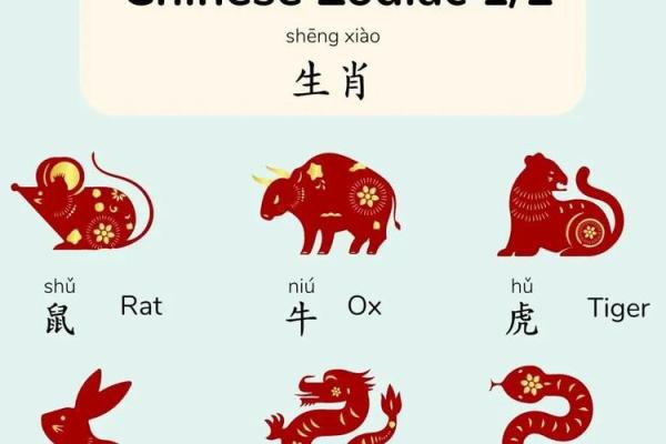 根据命名与生肖相成语的趣味探讨 根据命名与生肖相成语的趣味探讨