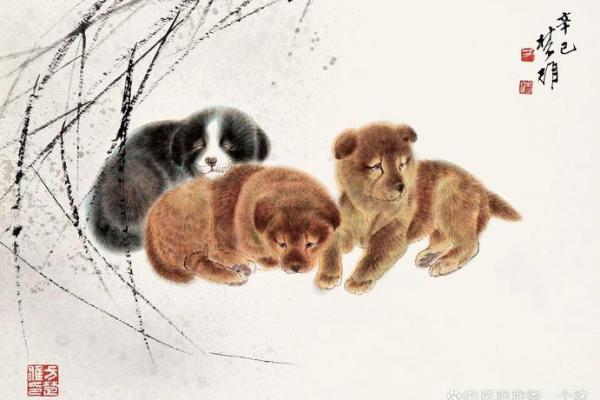 属狗2006年出生的人:忠诚与智慧的完美结合 属狗2006年出生的人:忠诚与智慧的完美结合