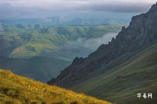 1993年1月1日:命理解析与生活启示 1993年1月1日:命理解析与生活启示