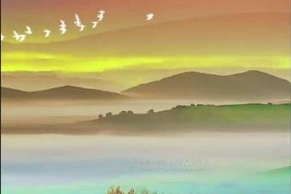 2026年属水命解析：解读人生十字路口的水元素力量