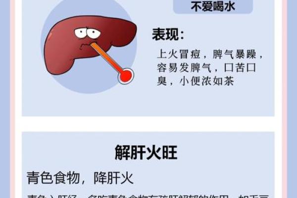 严查杀命养命的隐患:揭示健康生活之道的重要性 严查杀命养命的隐患:揭示健康生活之道的重要性