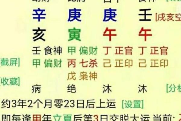命主命书：揭示生活中潜藏的智慧与启示
