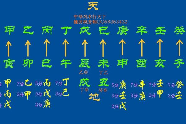 甲木命男的最佳配偶选择:揭示五行相生的奥秘与智慧 甲木命男的最佳配偶选择:揭示五行相生的奥秘与智慧